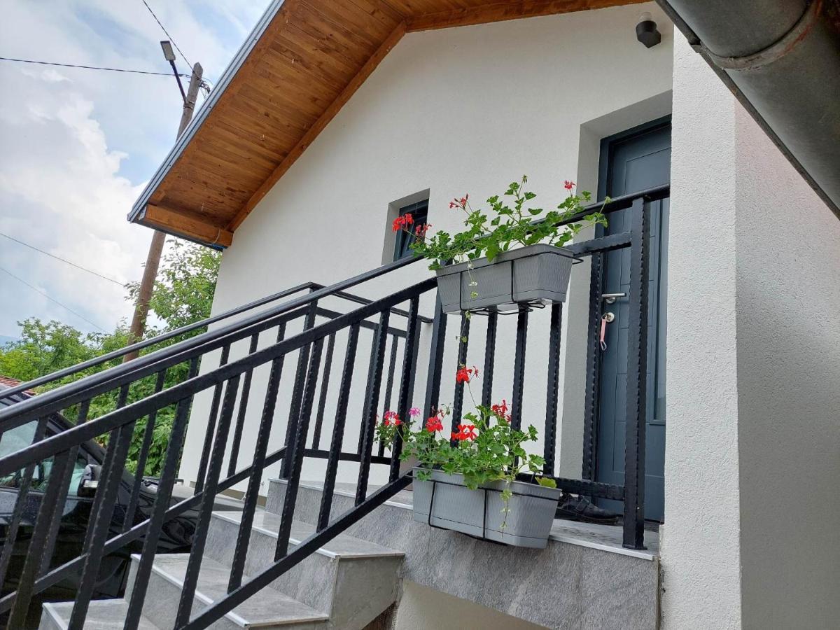 Apartmani Visegradski Pogled المظهر الخارجي الصورة